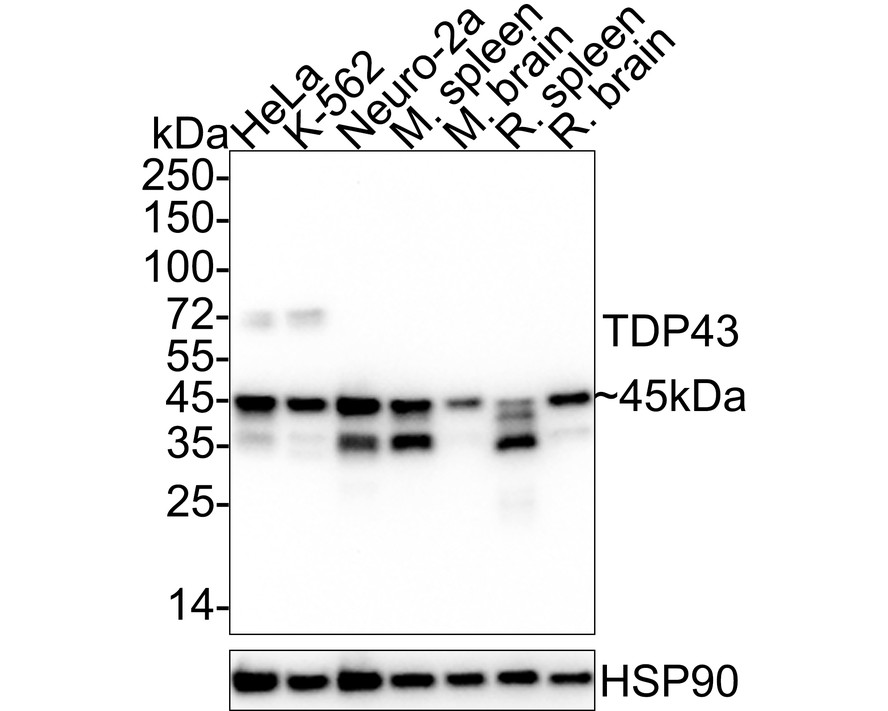 HA750390_1.jpg