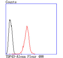 HA750390_7.jpg