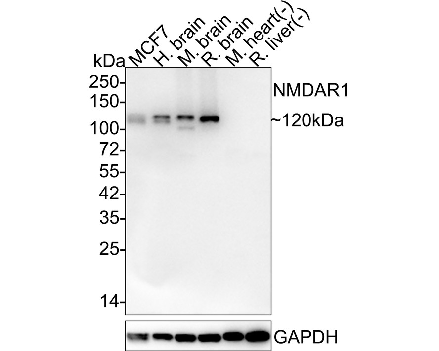 HA750391_6.jpg