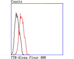 HA750392_9.jpg