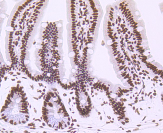 HA750394_9.jpg