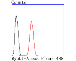 HA750395_2.jpg