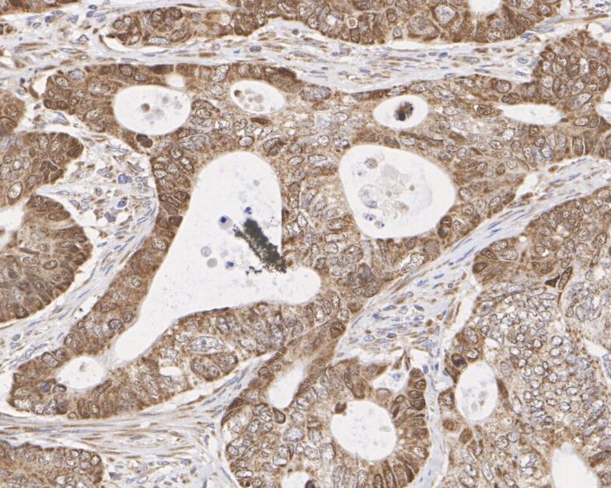 HA750397_3.jpg