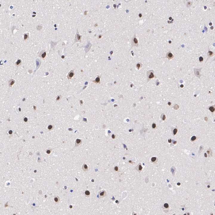 HA750400_3.jpg