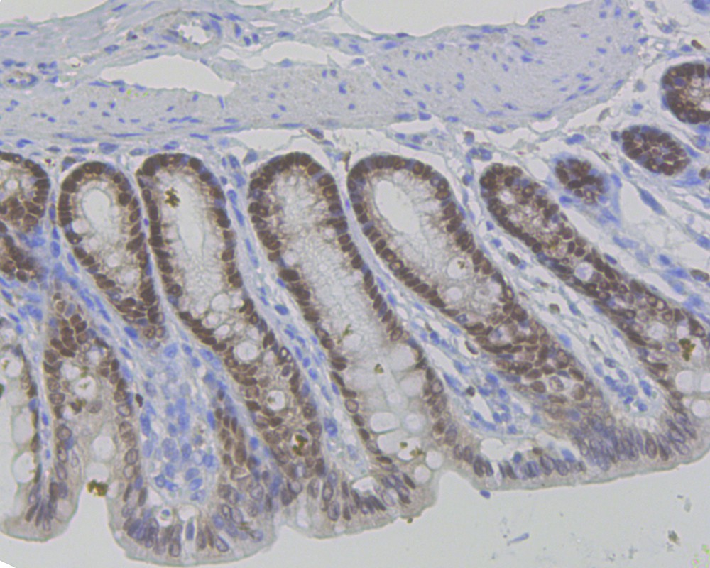 HA750402_3.jpg