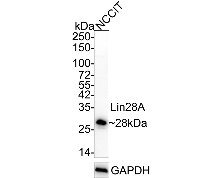 HA750410_1.jpg