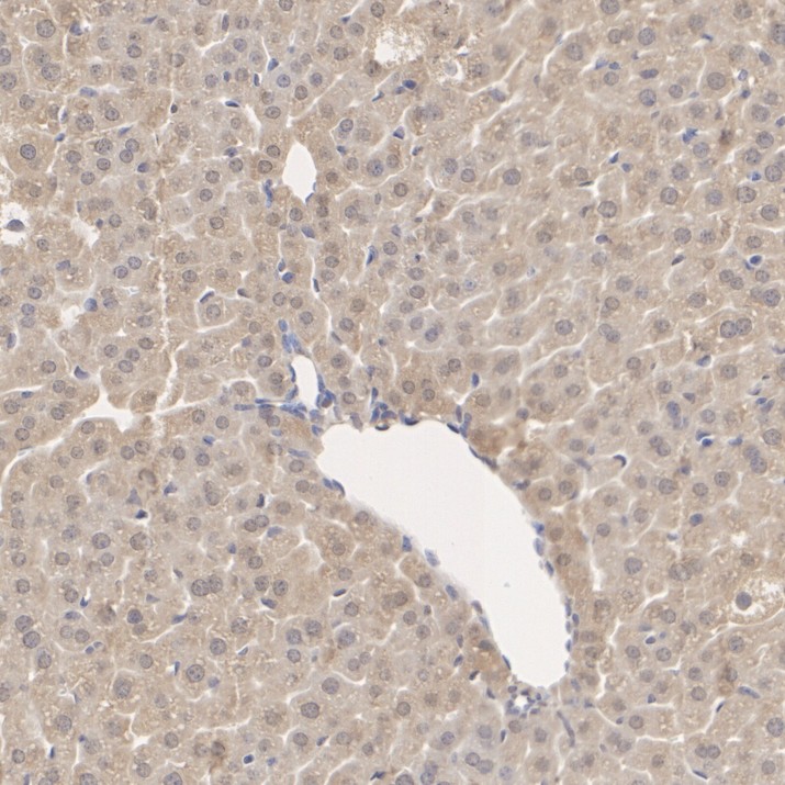 HA750414_5.jpg
