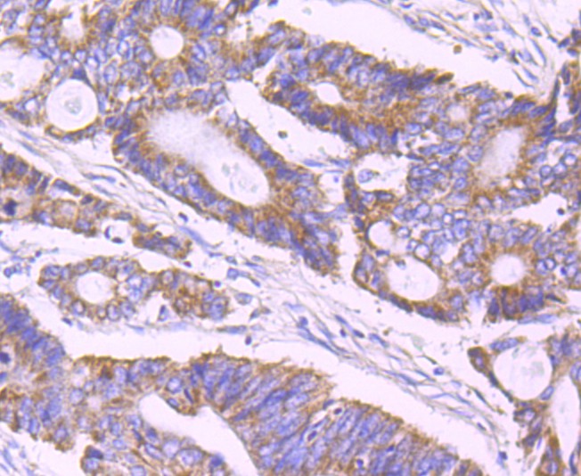 HA750418_5.jpg