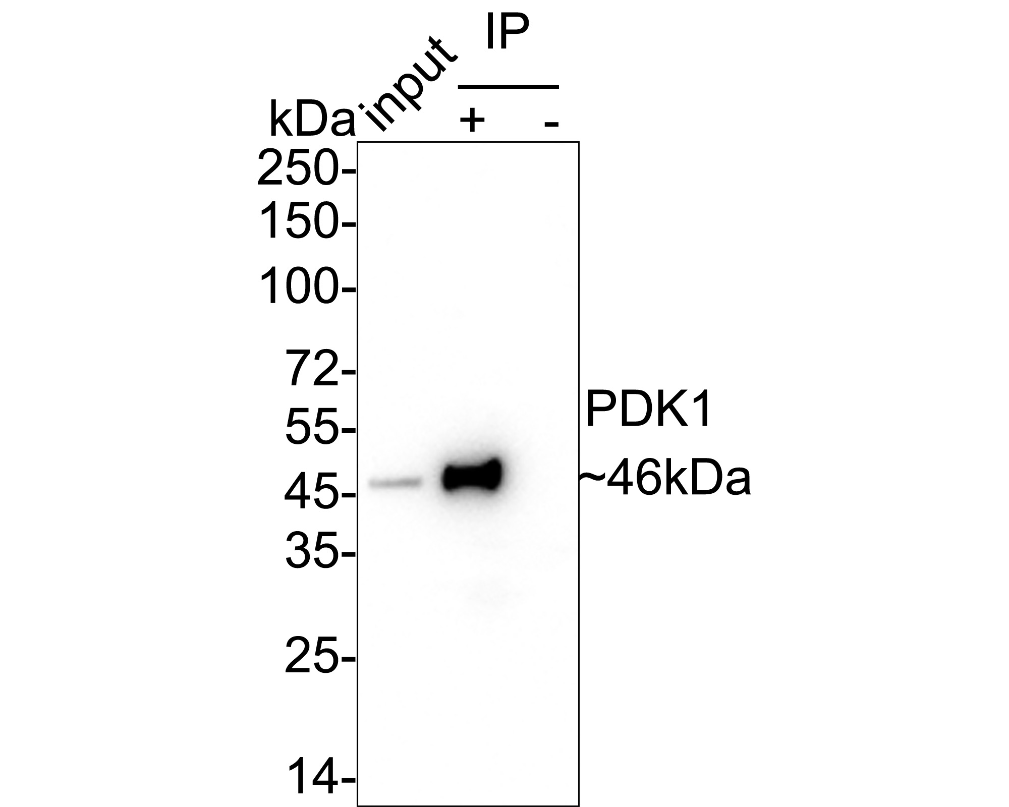 HA750419_5.jpg