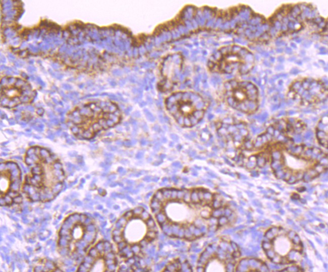 HA750421_5.jpg