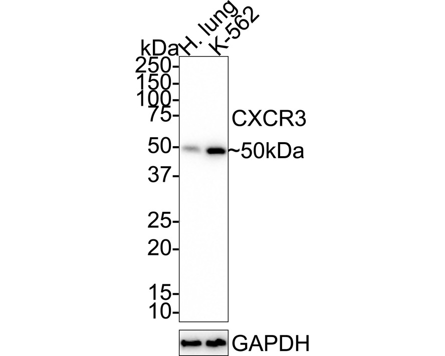 HA750422_2.jpg