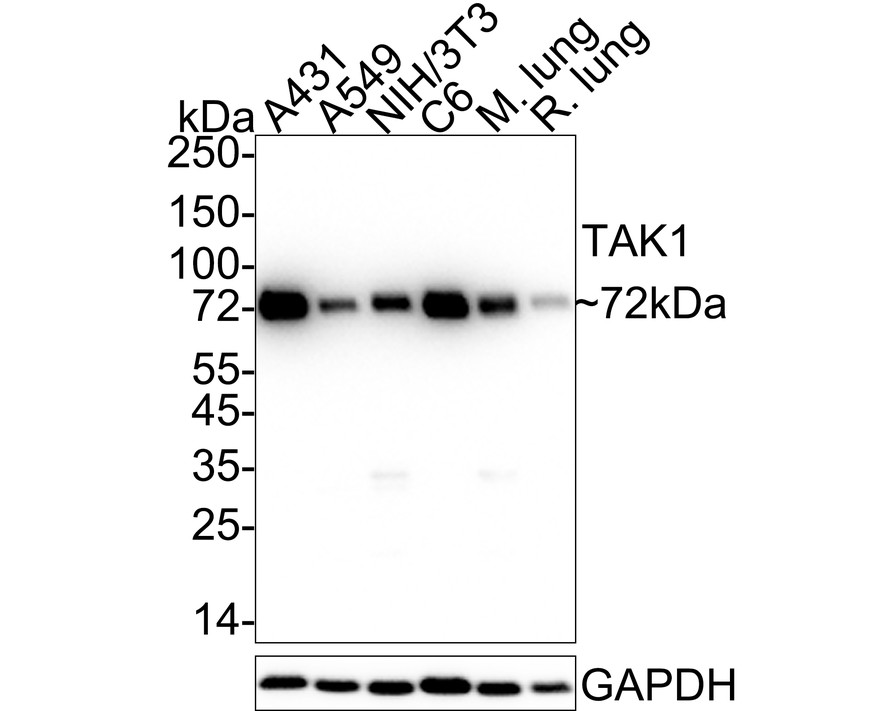 HA750424_2.jpg