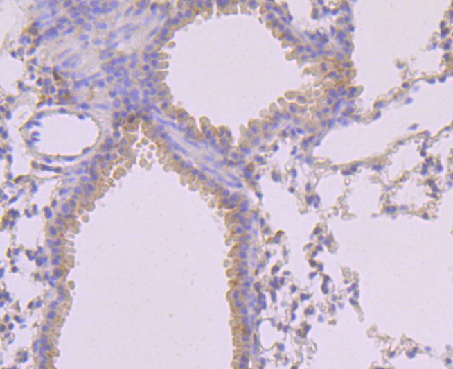 HA750433_3.jpg