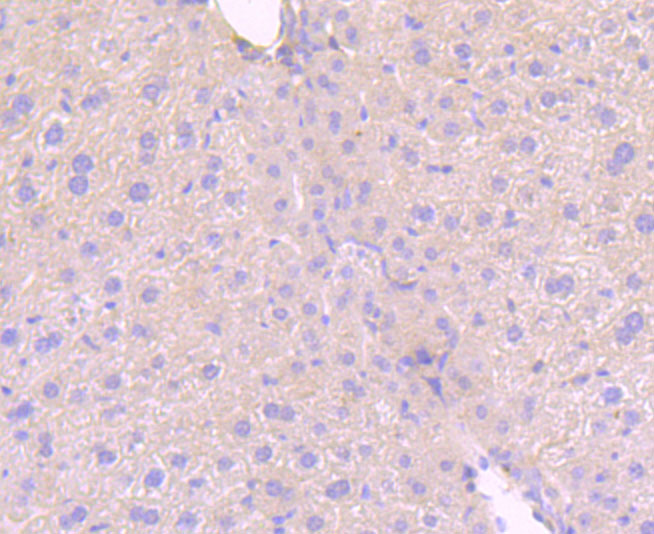 HA750433_4.jpg