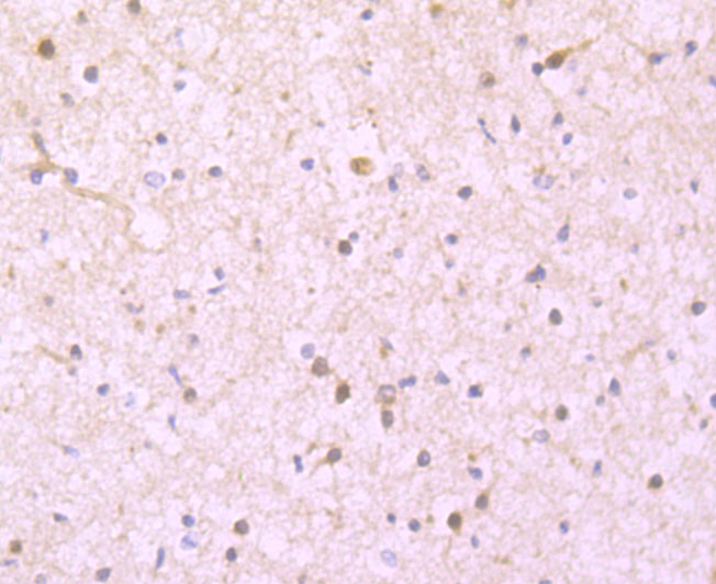 HA750435_3.jpg