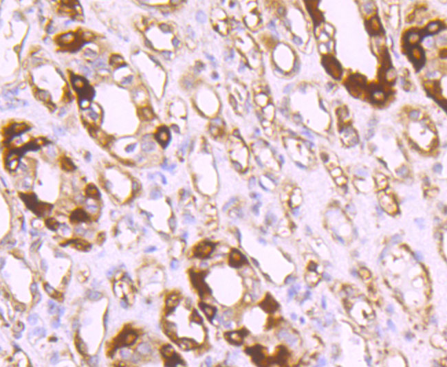 HA750435_4.jpg