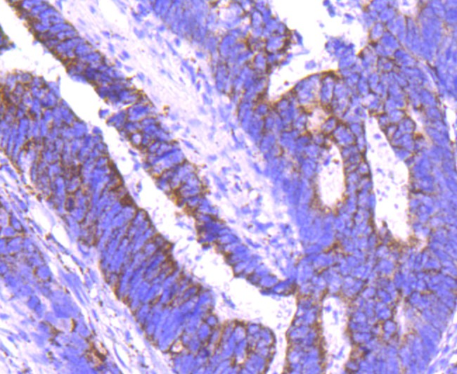 HA750436_4.jpg