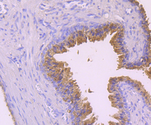 HA750439_5.jpg
