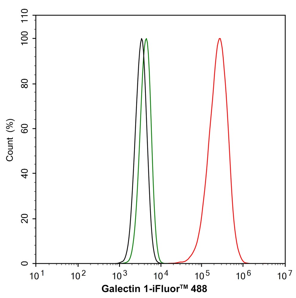 HA750441_7.jpg
