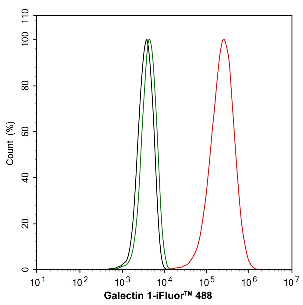 HA750441_8.jpg