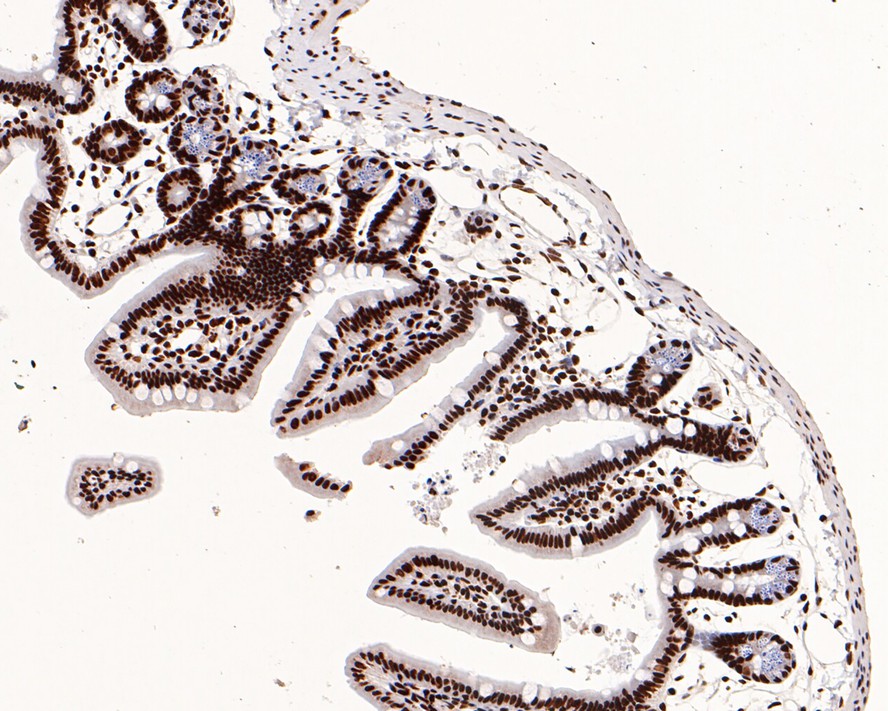 HA750444_7.jpg