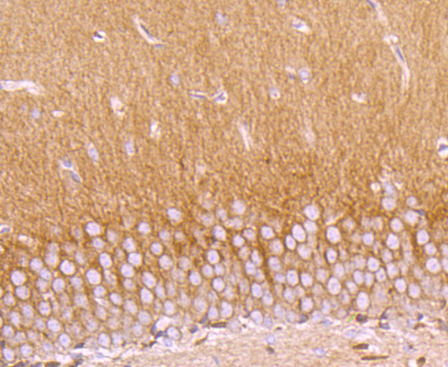 HA750446_5.jpg