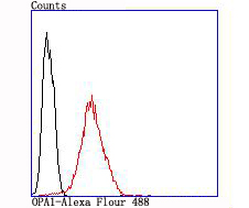 HA750446_6.jpg