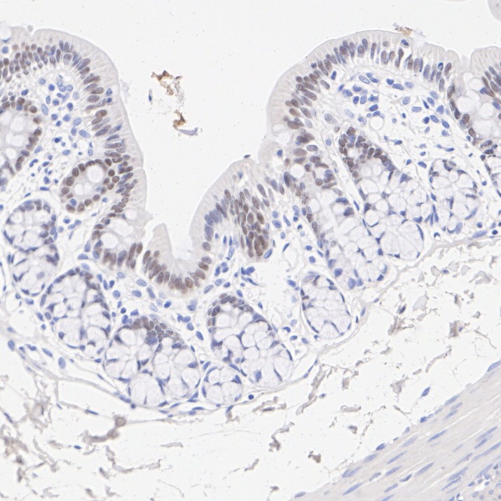 HA750449_10.jpg
