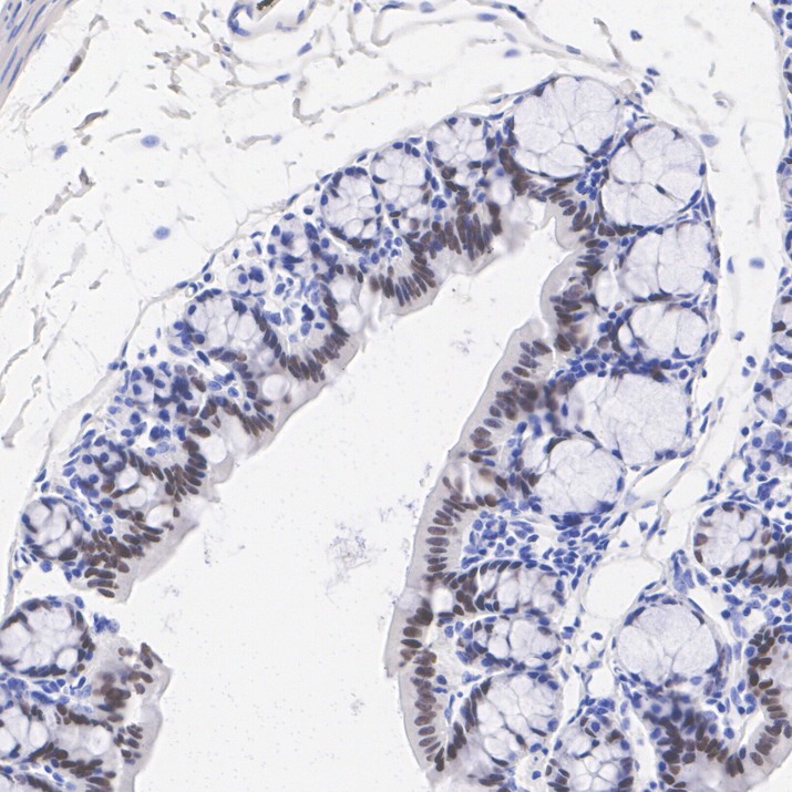 HA750449_9.jpg