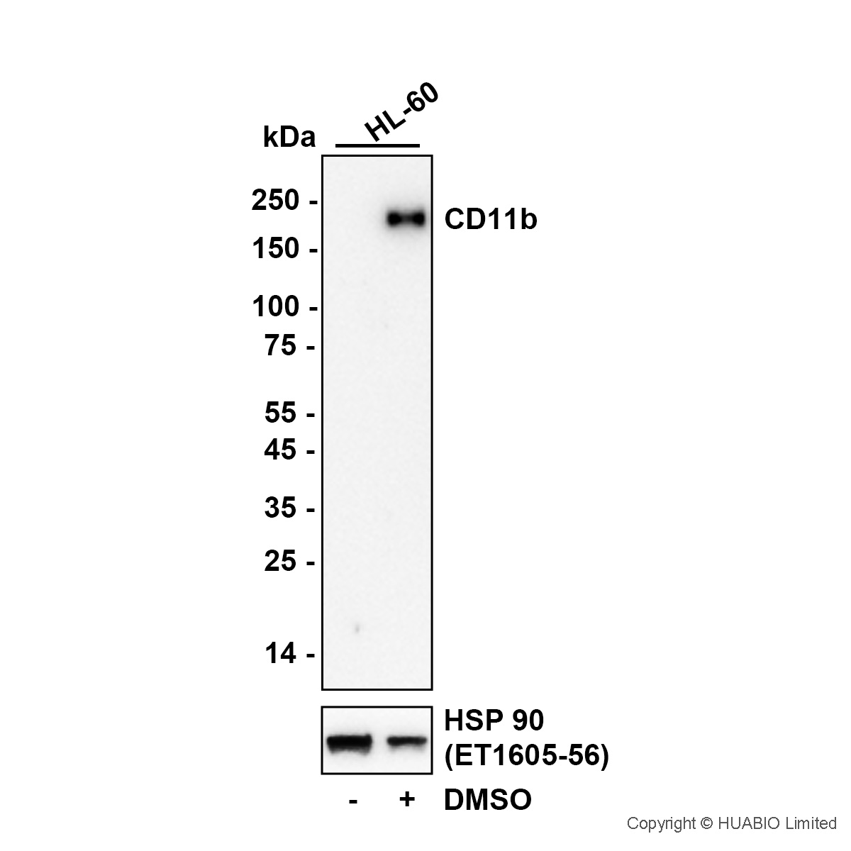 HA750451_10.jpg
