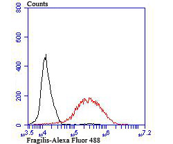 HA750453_6.jpg