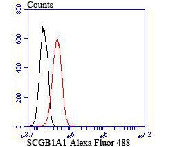 HA750458_5.jpg
