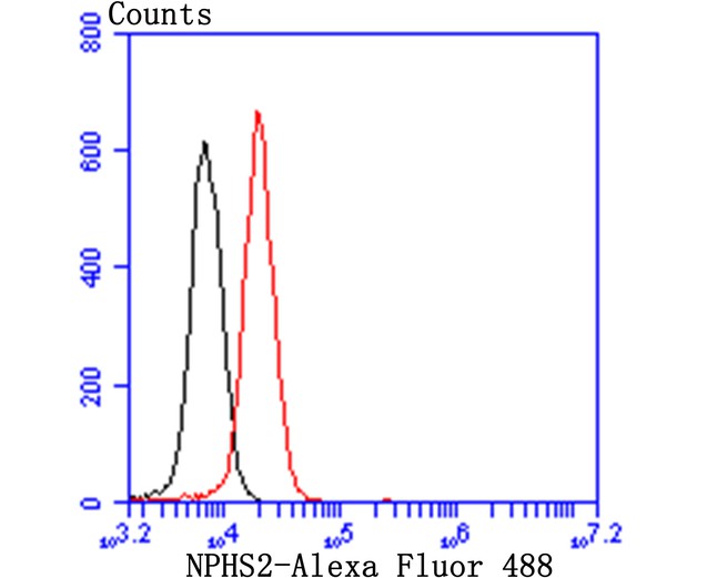 HA750460_7.jpg