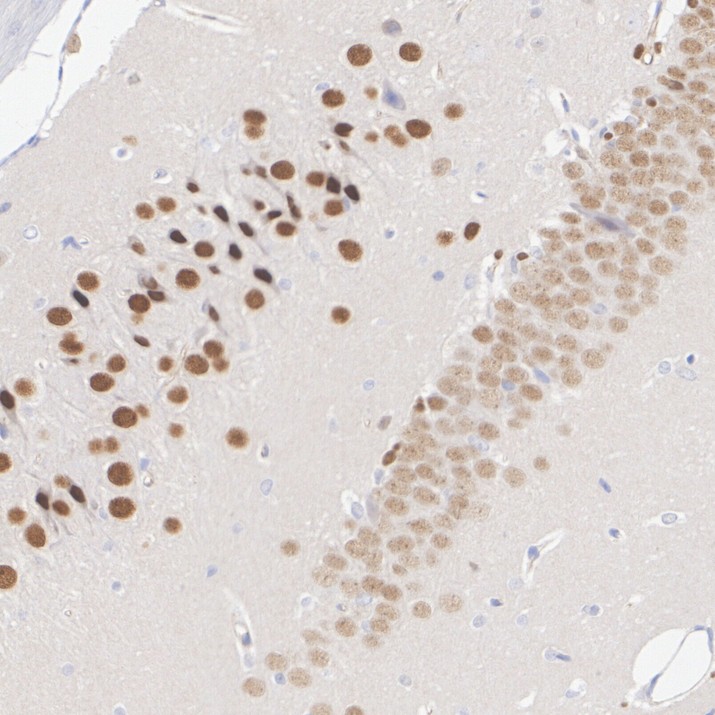 HA750461_4.jpg