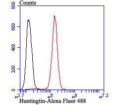HA750462_9.jpg