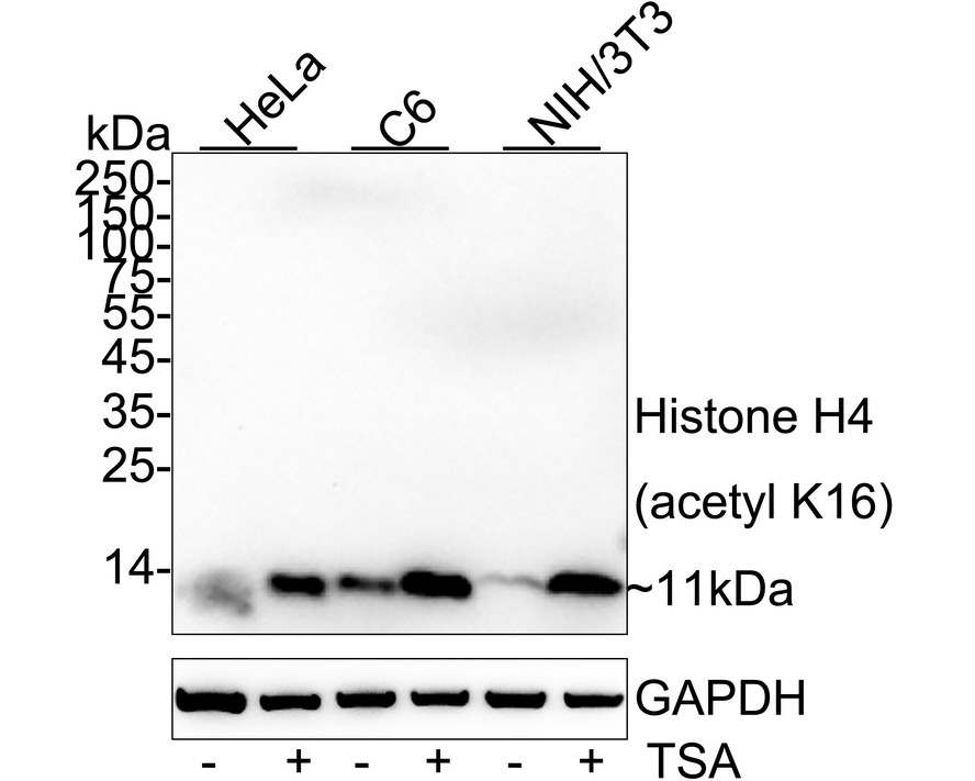 HA750464_1.jpg