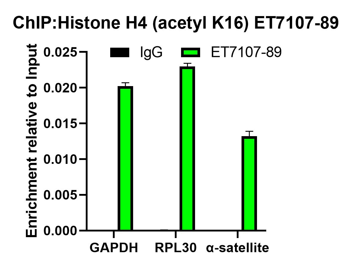 HA750464_6.jpg