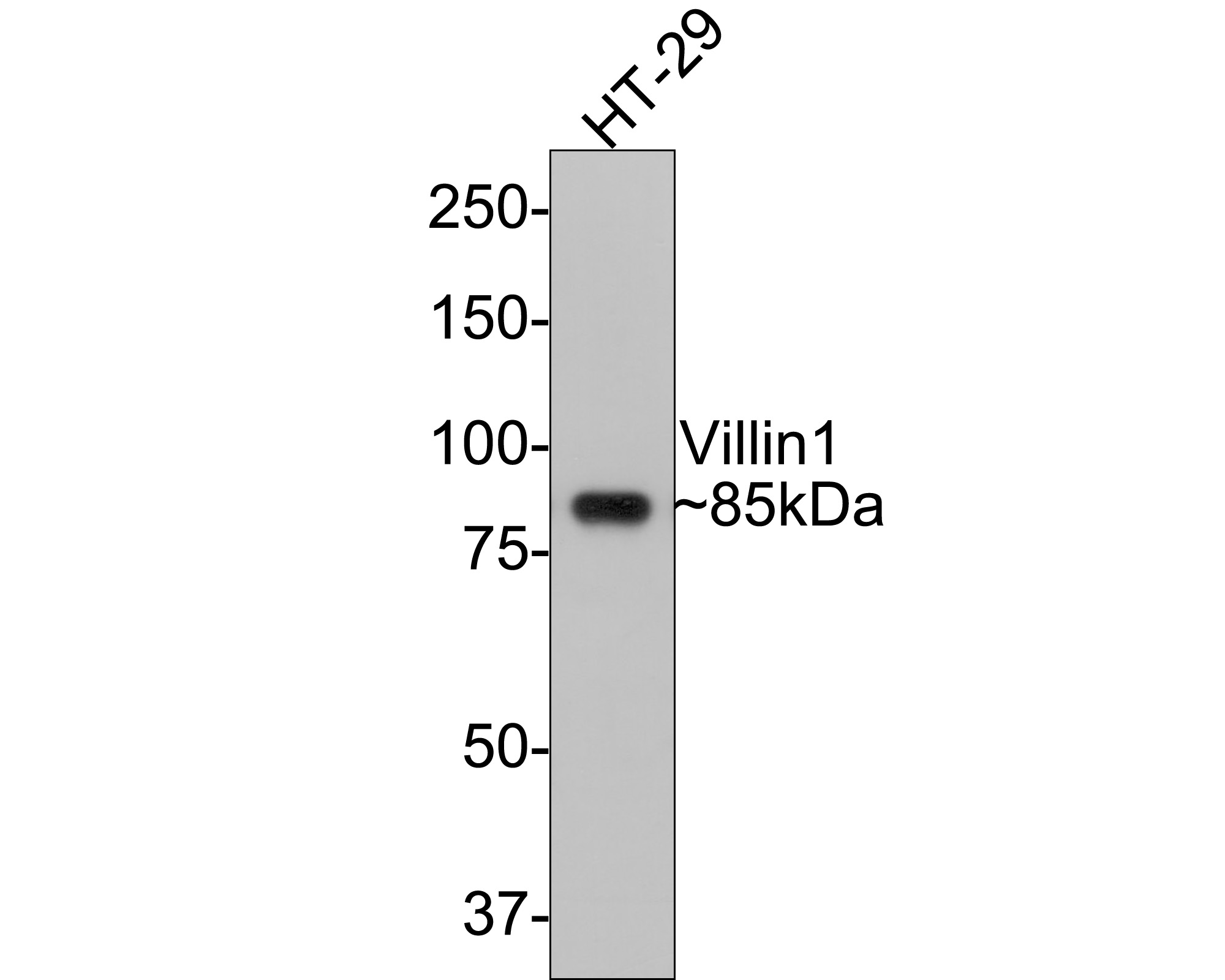 HA750476_1.jpg