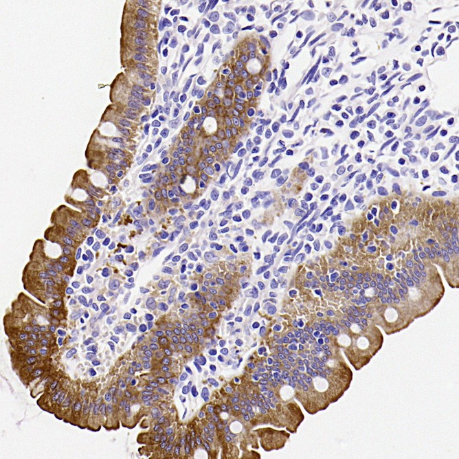 HA750476_5.jpg