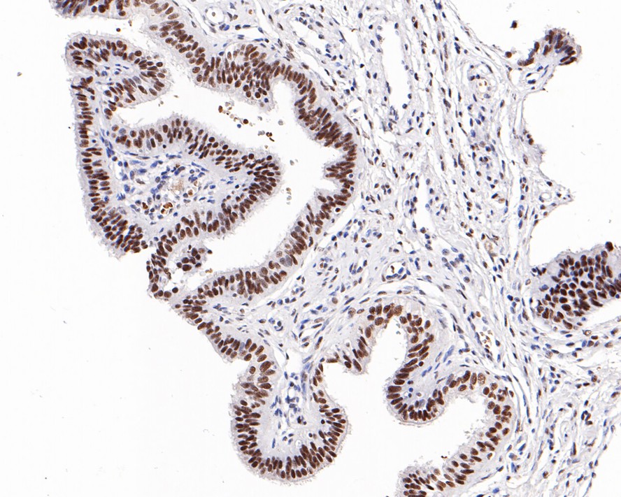 HA750508_5.jpg