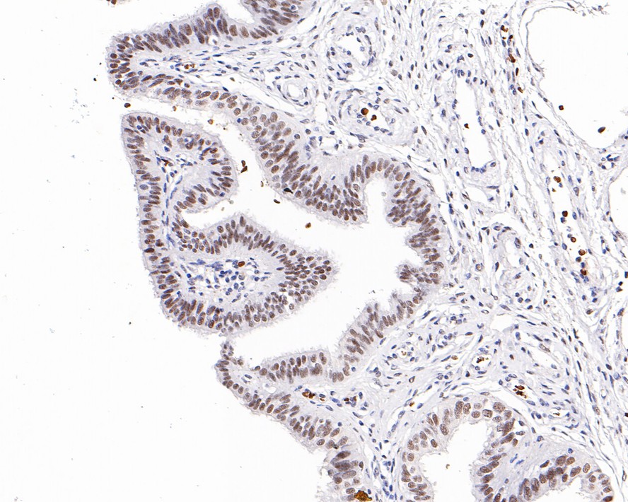 HA750509_4.jpg