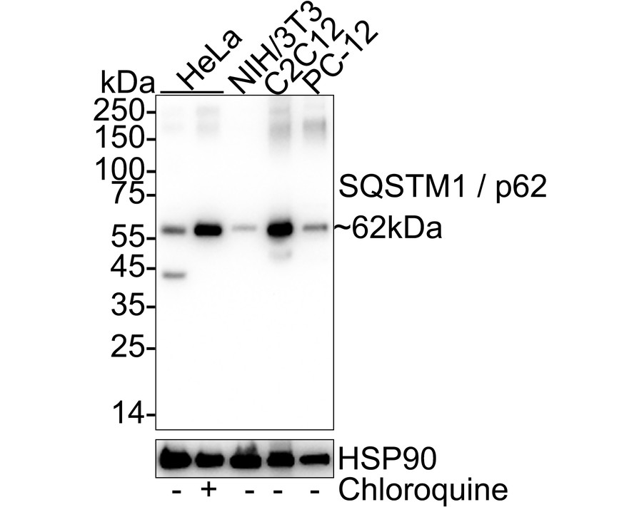 HA750510_1.jpg