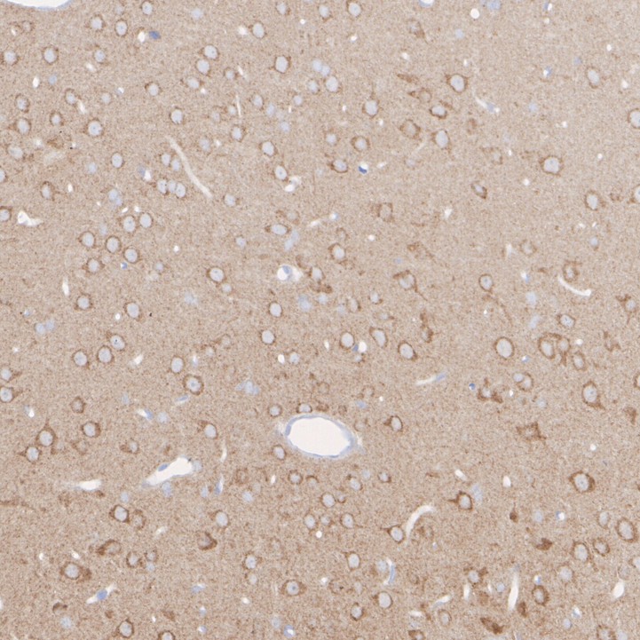 HA750510_16.jpg