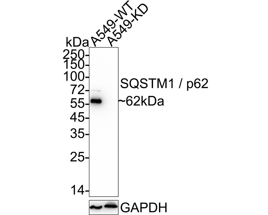 HA750510_3.jpg