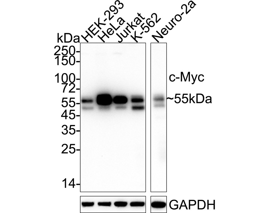 HA750519_2.jpg