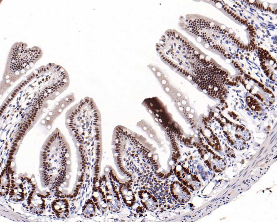 HA750521_3.jpg