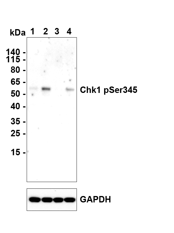 HA750523_3.jpg