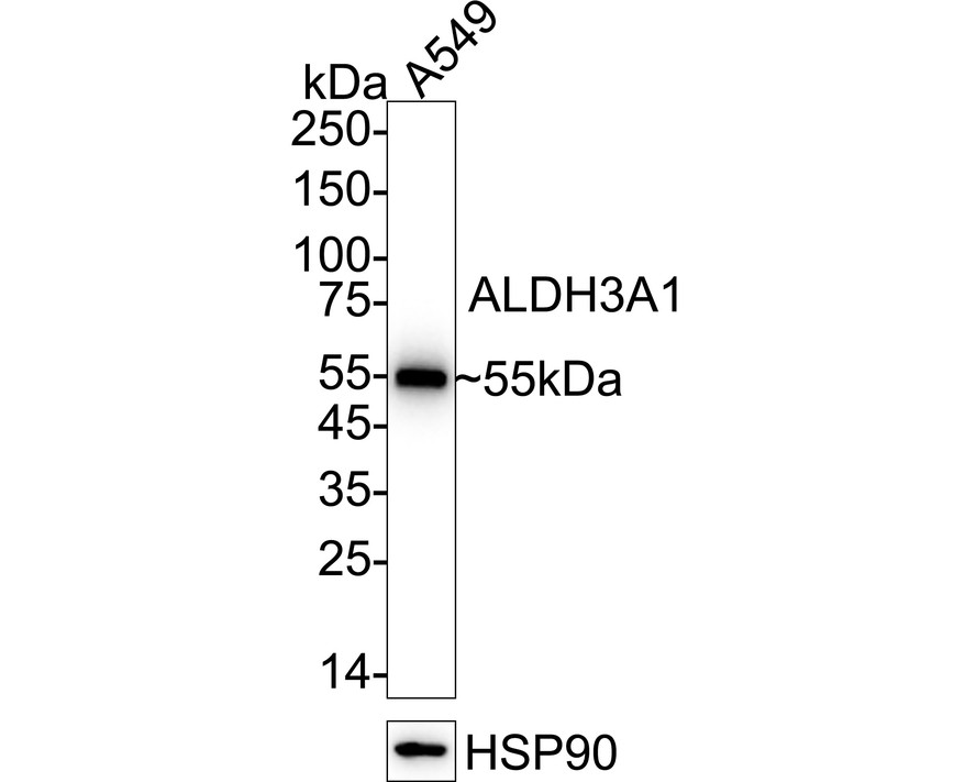 HA750533_1.jpg