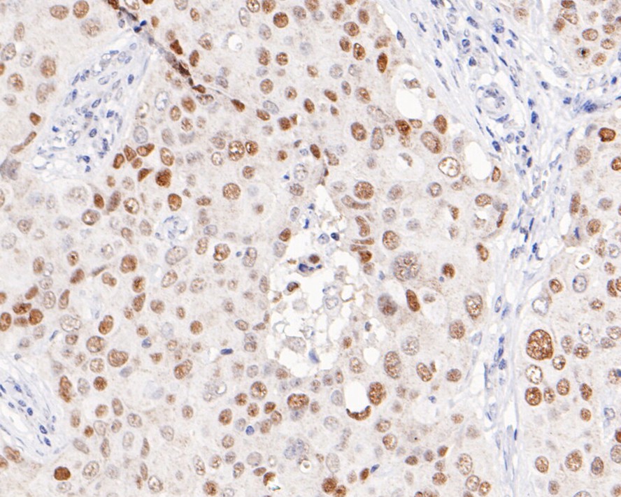 HA750545_2.jpg