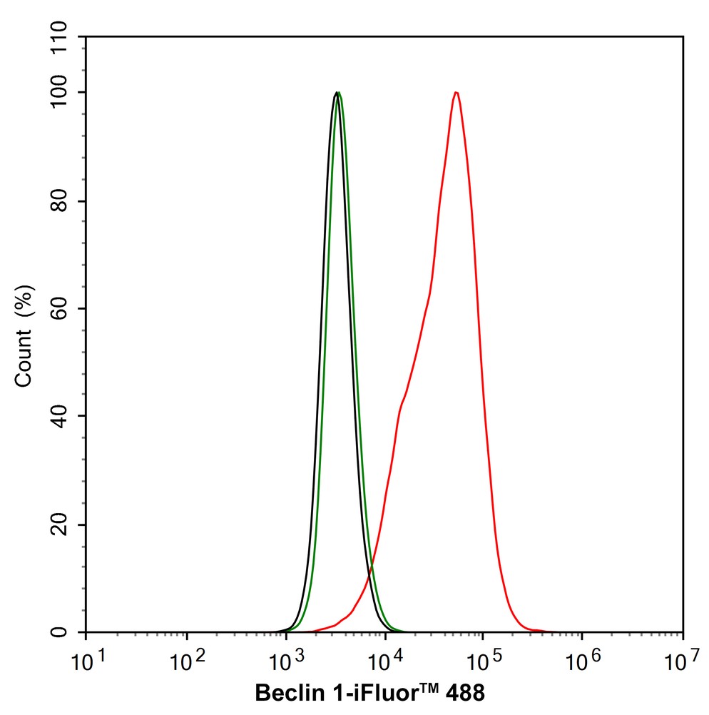HA750546_6.jpg